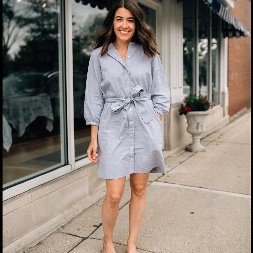 Everlane Shirt Dress (size 10)